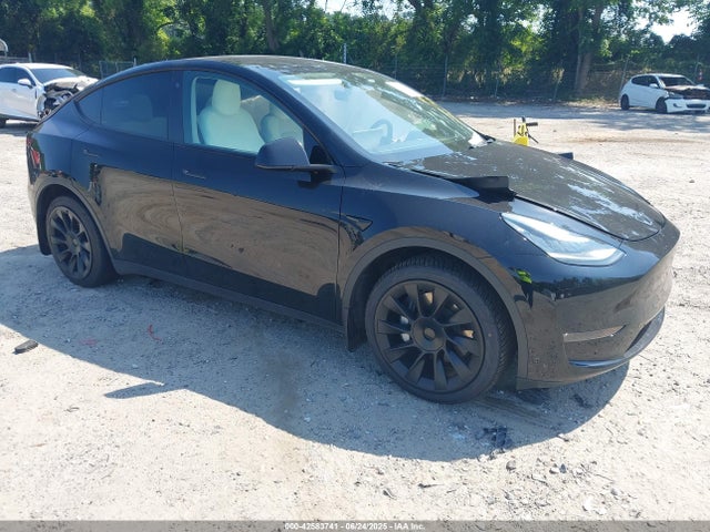 2021 TESLA MODEL Y 5YJYGDEE9MF081100 Photo 0