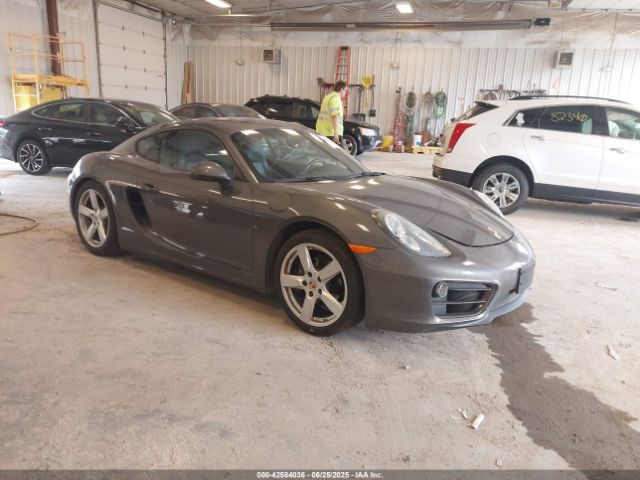 2014 PORSCHE CAYMAN WP0AA2A80EK173031