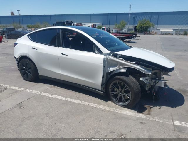 2024 TESLA MODEL Y 7SAYGAEE3RF157600