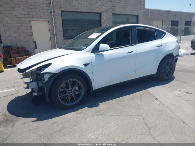 2024 TESLA MODEL Y 7SAYGAEE3RF157600 Photo 1