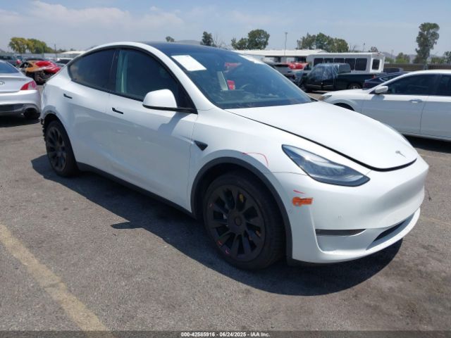 2020 TESLA MODEL Y 5YJYGDEE0LF017221