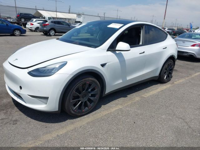 2020 TESLA MODEL Y 5YJYGDEE0LF017221 Photo 1