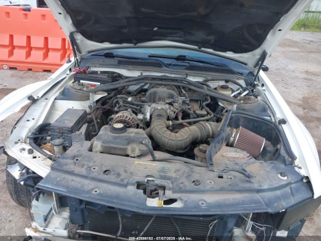 2005 FORD MUSTANG 1ZVFT80N455119446 Photo 9
