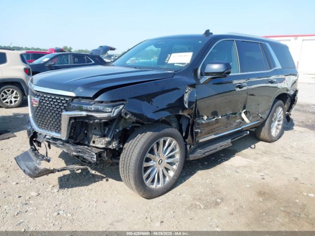 2023 CADILLAC ESCALADE 1GYS4BKL1PR359566 Photo 1