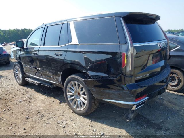 2023 CADILLAC ESCALADE 1GYS4BKL1PR359566 Photo 2