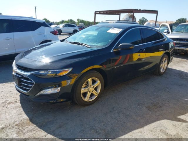 2020 CHEVROLET MALIBU 1G1ZC5ST8LF013642 Photo 1