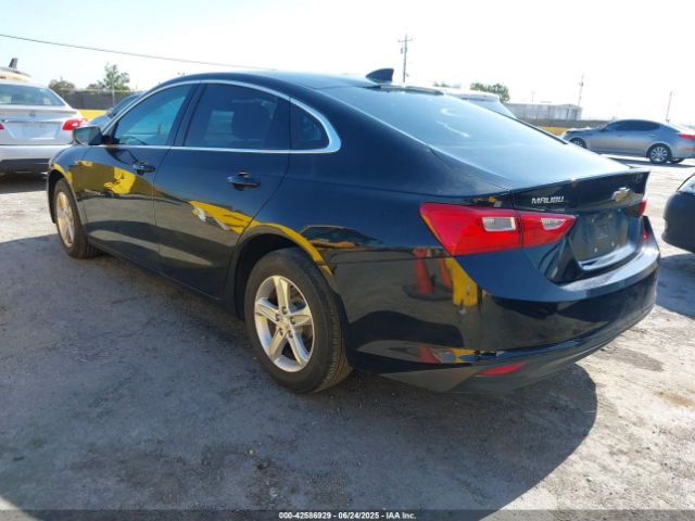 2020 CHEVROLET MALIBU 1G1ZC5ST8LF013642 Photo 2