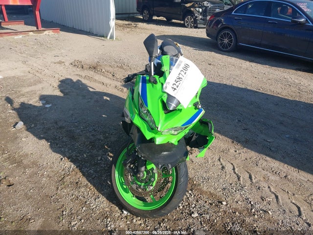 ML5ZXCS1XRDA28787 Kawasaki 2024