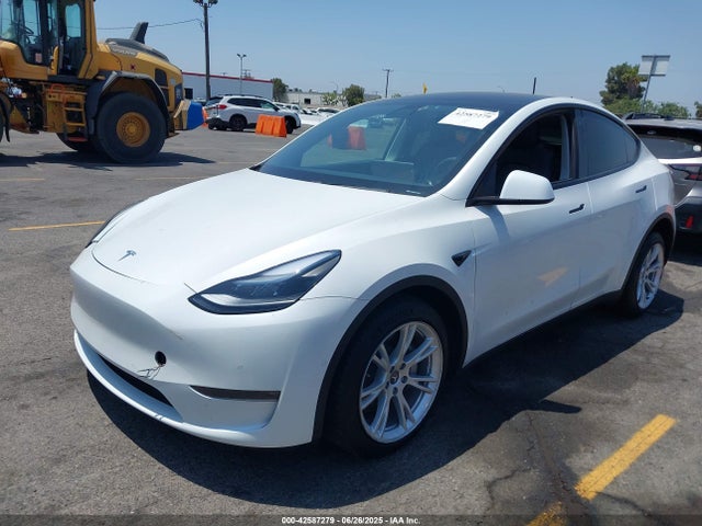 5YJYGDEE3LF054439 Tesla Model Y