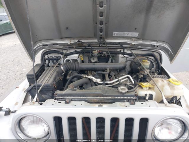 2003 JEEP WRANGLER 1J4FA49S73P326743 Photo 9