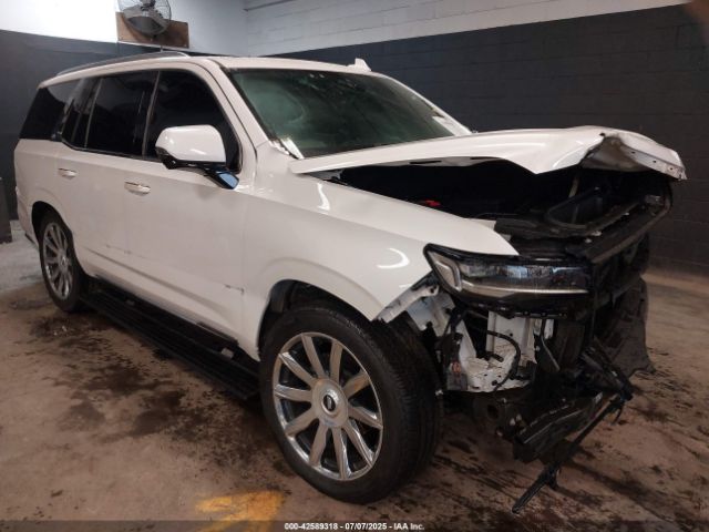 2021 CADILLAC ESCALADE 1GYS4DKL1MR433138