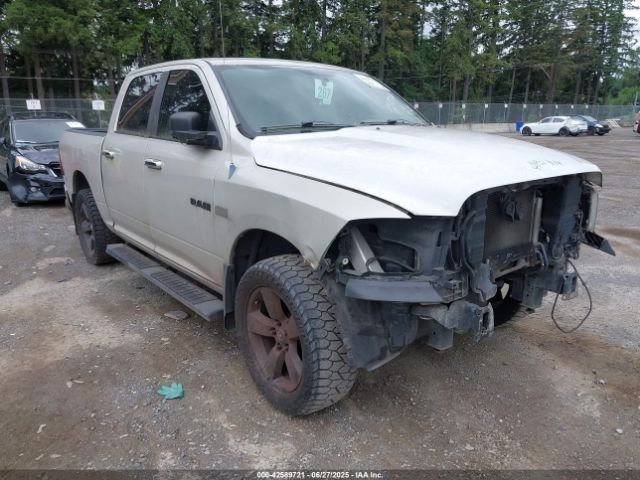 2009 DODGE RAM 1500 1D3HV13T49J512617