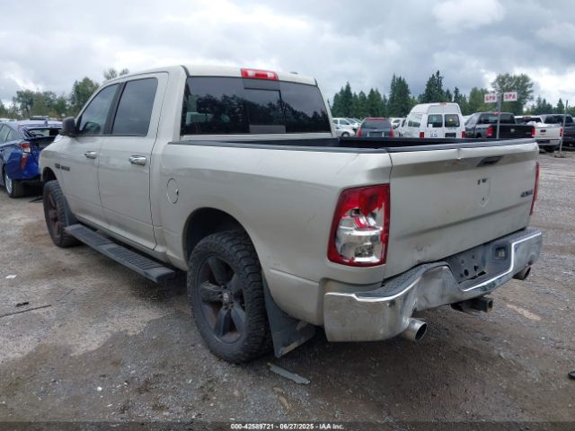 2009 DODGE RAM 1500 1D3HV13T49J512617 Photo 2
