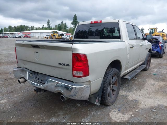 2009 DODGE RAM 1500 1D3HV13T49J512617 Photo 3
