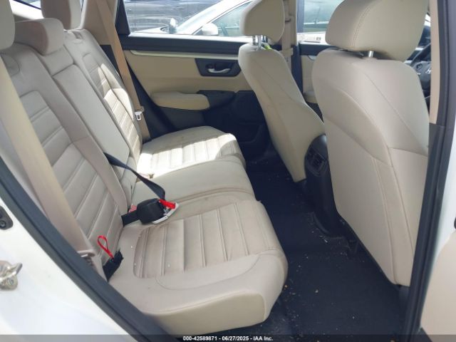 2019 HONDA CR-V 2HKRW6H33KH232265 Photo 7