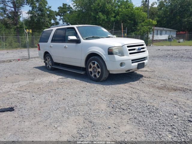 2010 FORD EXPEDITION 1FMJU1K57AEA07048