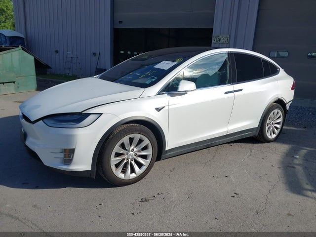 Tesla 2020 2020 5YJXCBE27LF242169 Image 2