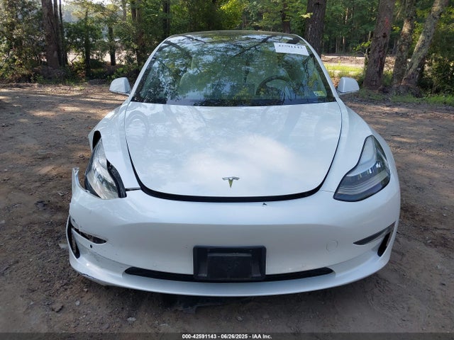 Tesla 2020 2020 5YJ3E1EB3LF513585 Image 12