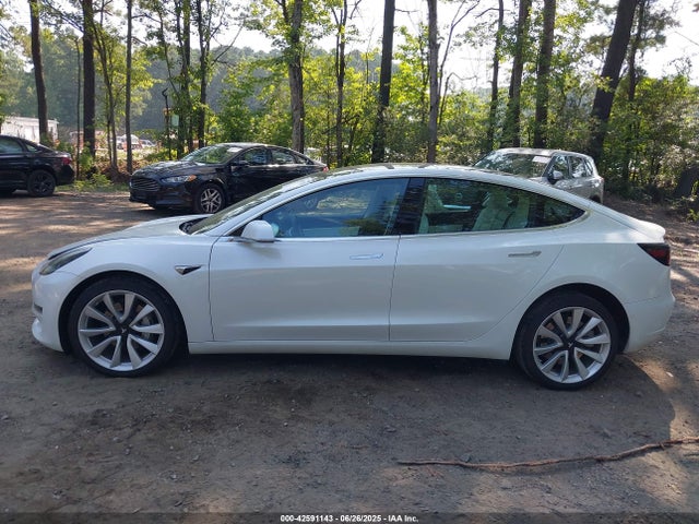 Tesla 2020 2020 5YJ3E1EB3LF513585 Image 14