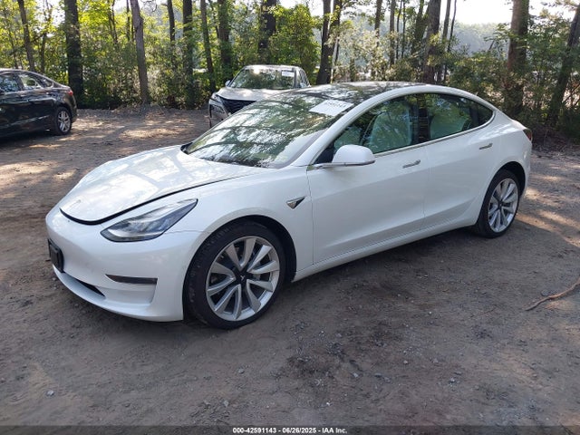 Tesla 2020 2020 5YJ3E1EB3LF513585 Image 2