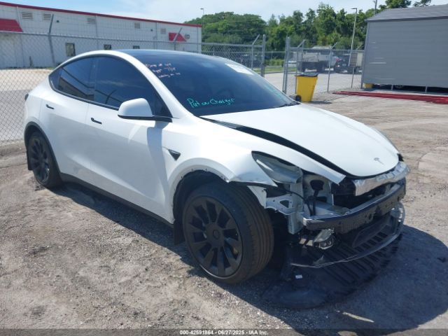 2021 TESLA MODEL Y 5YJYGDED3MF173455