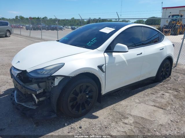 2021 TESLA MODEL Y 5YJYGDED3MF173455 Photo 1