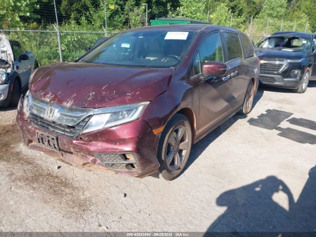 2019 HONDA ODYSSEY 5FNRL6H72KB026008 Photo 1
