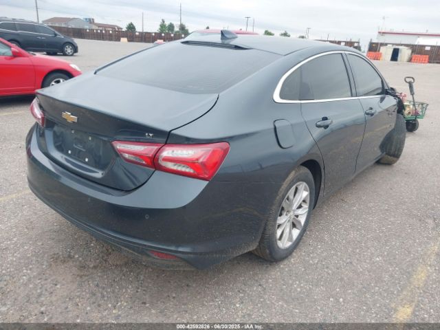 2019 CHEVROLET MALIBU 1G1ZD5ST6KF187639 Photo 3