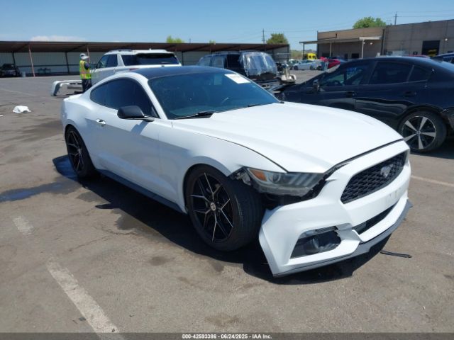 2016 FORD MUSTANG 1FA6P8AM5G5253789