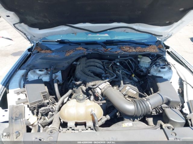 2016 FORD MUSTANG 1FA6P8AM5G5253789 Photo 9