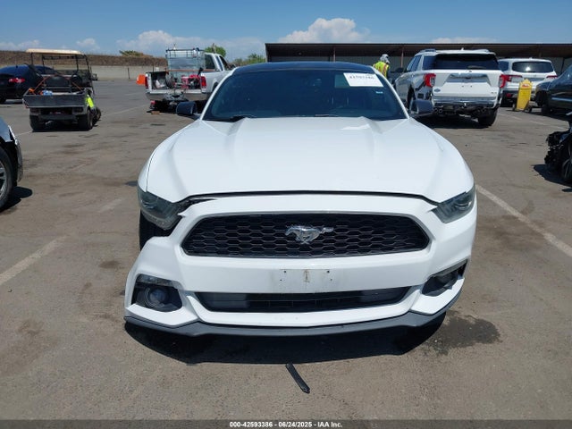 Ford 2016 2016 1FA6P8AM5G5253789 Image 12