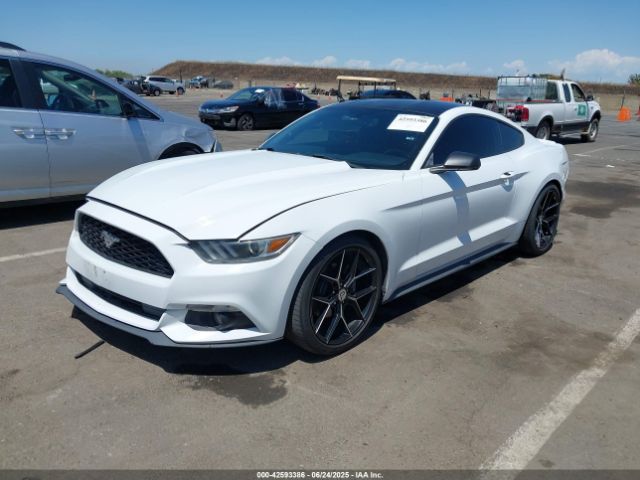2016 FORD MUSTANG 1FA6P8AM5G5253789 Photo 1