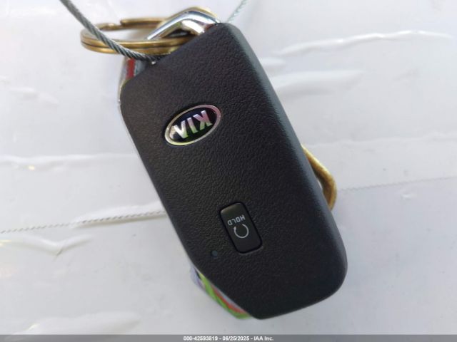 2021 KIA TELLURIDE 5XYP5DHC3MG120493 Photo 10