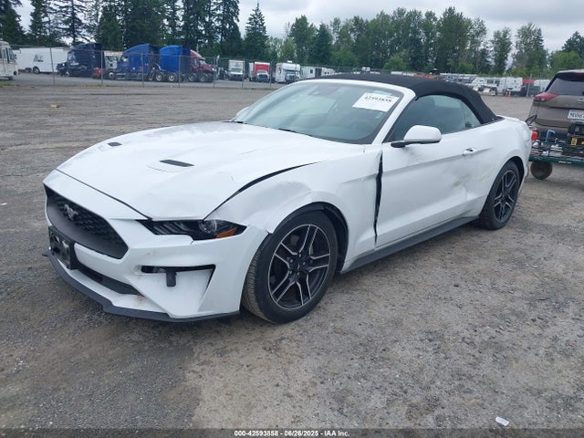 1FATP8UH9P5110555 Ford 4v