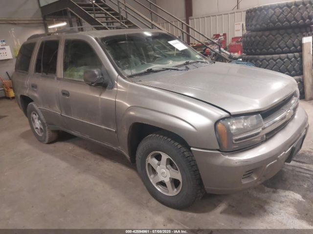 2006 CHEVROLET TRAILBLAZER 1GNDT13SX62119500