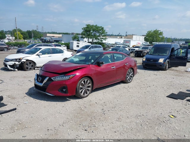 Nissan Maxima 2022 1N4AA6FV1NC503765 Image 2