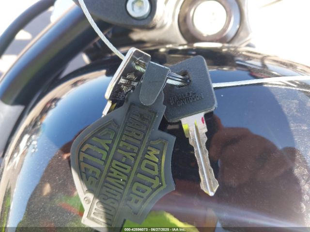 2020 HARLEY-DAVIDSON XL1200 1HD1LP315LB432423 Photo 10