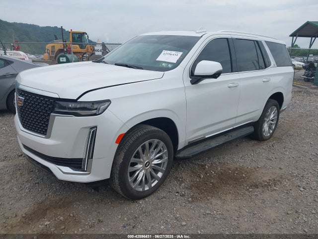 2023 CADILLAC ESCALADE 1GYS4BKLXPR561175 Photo 1