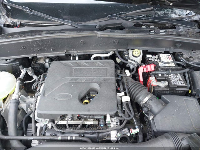 3FMCR9B67MRA72677 Ford dragon
