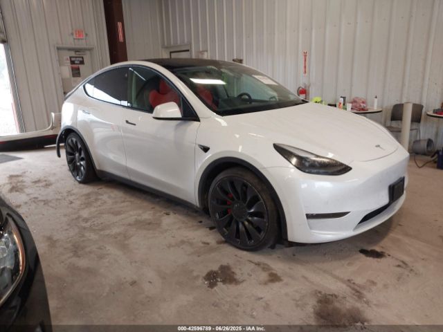 2022 TESLA MODEL Y 7SAYGDEF0NF540186