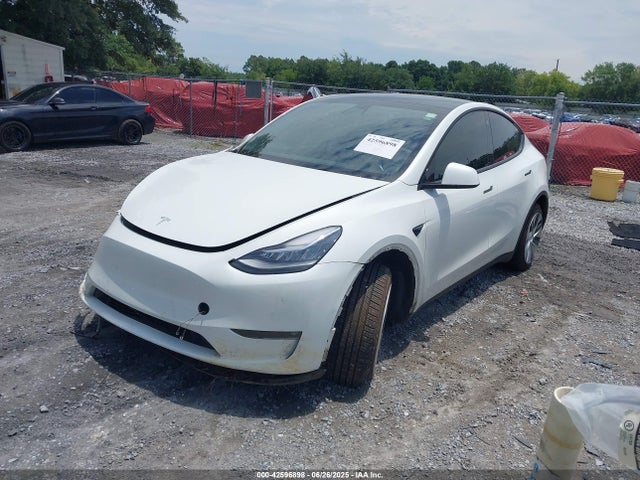 2021 TESLA MODEL Y 5YJYGDEE1MF244922 Photo 1