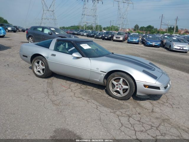 1996 CHEVROLET CORVETTE 1G1YY22P3T5102765