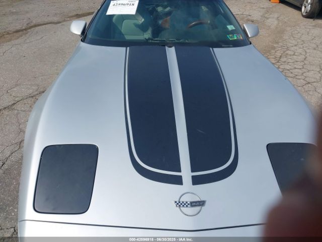 1996 CHEVROLET CORVETTE 1G1YY22P3T5102765 Photo 9
