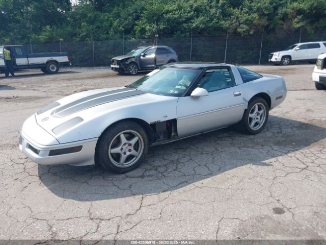 1996 CHEVROLET CORVETTE 1G1YY22P3T5102765 Photo 1