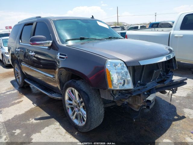 2010 CADILLAC ESCALADE 1GYUKAEF3AR243470