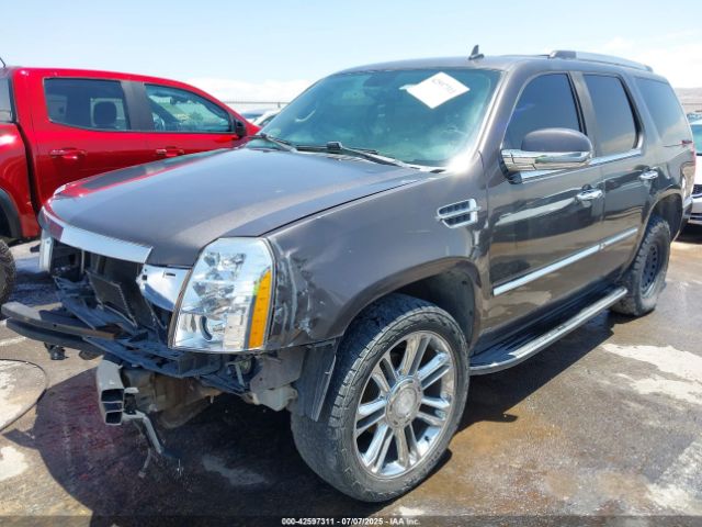 2010 CADILLAC ESCALADE 1GYUKAEF3AR243470 Photo 1