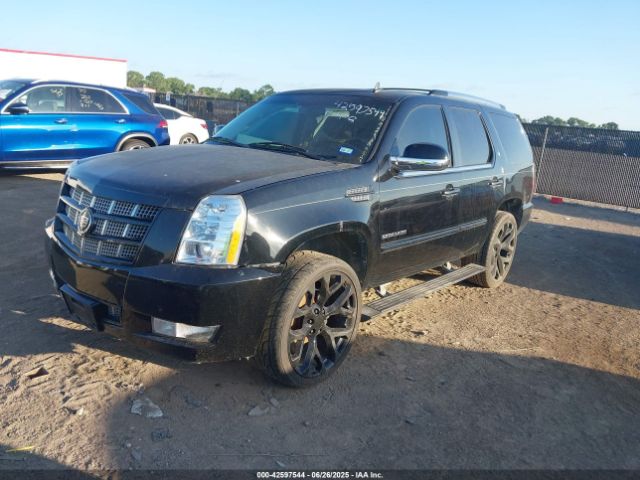 2014 CADILLAC ESCALADE 1GYS3CEF9ER209720 Photo 1