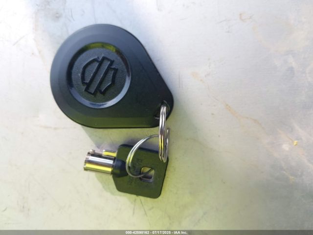 2020 HARLEY-DAVIDSON FLHTCUTG 1HD1MAF13LB858889 Photo 10