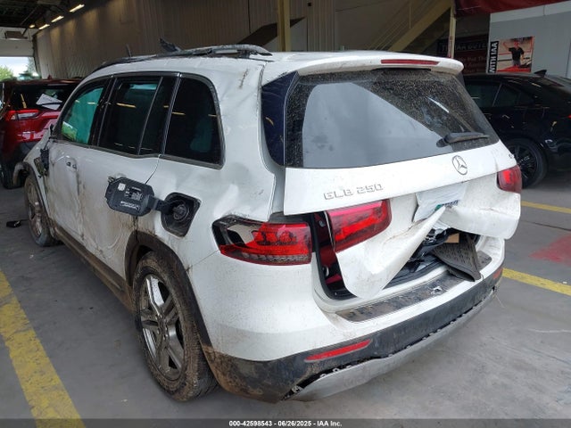 W1N4M4HB9LW037514 Mercedes-Benz m260