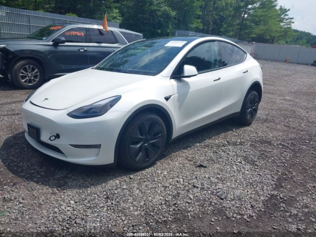 2025 TESLA MODEL Y 7SAYGDEE6SF293100 Photo 1